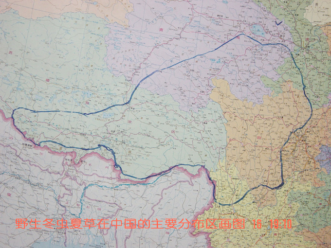 ���x�Ĳݷֲ�����,���x�Ĳݷֲ��ط�,�x�ݷֲ����c(di��n),���x�Ĳݵķֲ�λ��,�x�ݷֲ��ĵط�