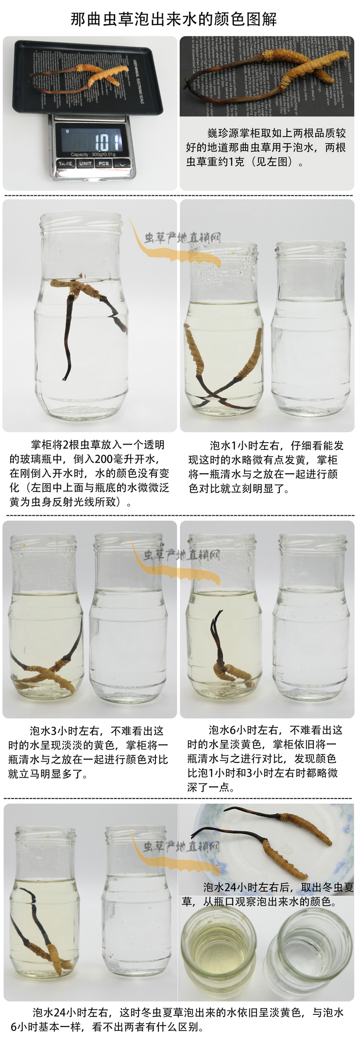 ���x�Ĳ��ݳ���ˮ���ɫ�����x�Ĳ��ݳ�����ˮ��ʲô�ɫ�����x�Ĳ���ˮ���ɫ��׃�����������x�����^ˮ��ˮ׃��ʲô�ɫ