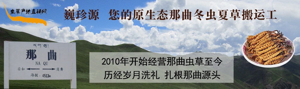 ���x�Ĳ�,��B���������x�������r�x�ݺ��������r���x�Ĳ�,���l(f��)�����x�Ĳ݃r(ji��)��